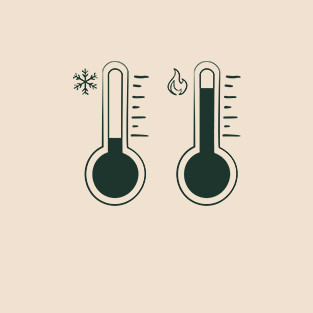 Temperatuurregelaar